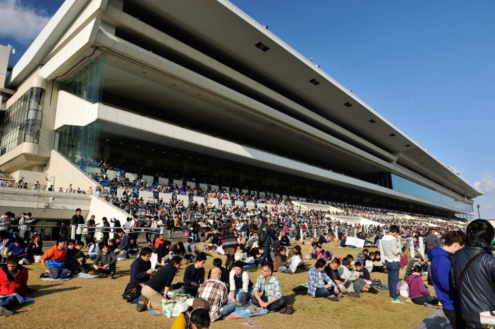 🏇 교토 경마장 이미지 6